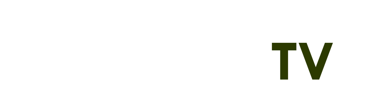 phim hoa máu